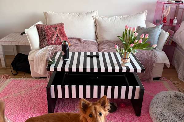House sit in Brooklyn, NY, US