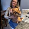 House sit pet parent - Cuddle Champion: Watch over our lovable Beagle-Spaniel cross in London